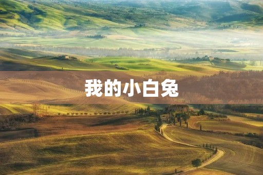 我的小白兔 我的小白兔
