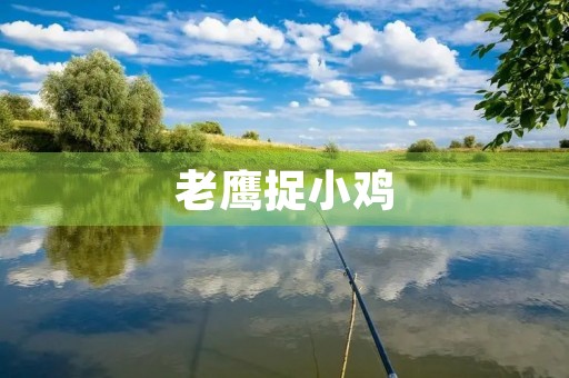 老鹰捉小鸡 老鹰捉小鸡