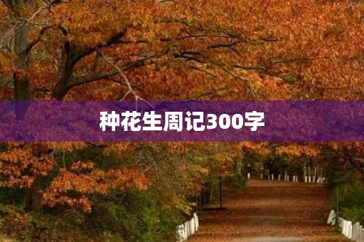 种花生周记300字 种花生周记300字
