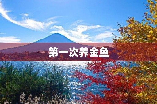 第一次养金鱼