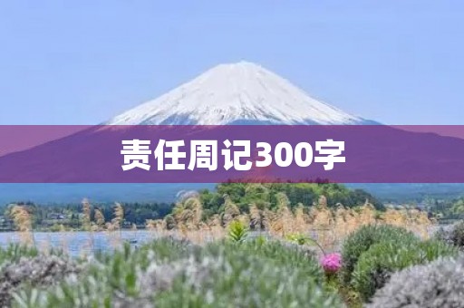 责任周记300字 责任周记300字