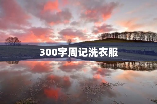 300字周记洗衣服