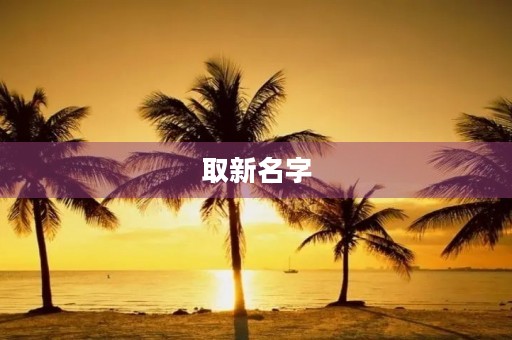 取新名字