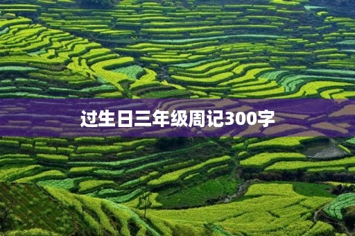 过生日三年级周记300字