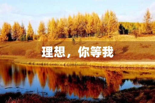 理想,你等我 理想,你等我