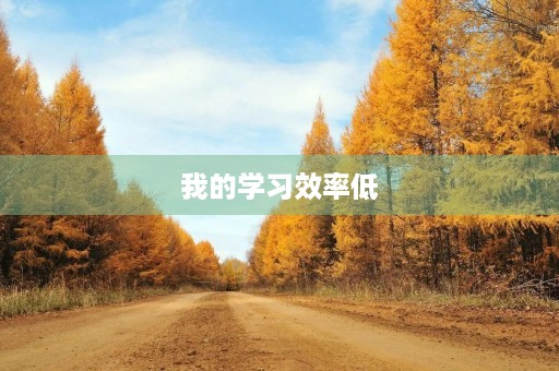 我的学习效率低