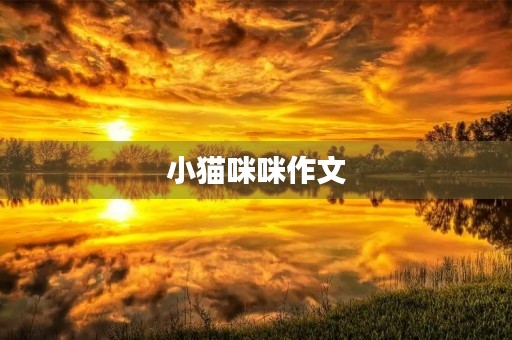 小猫**作文