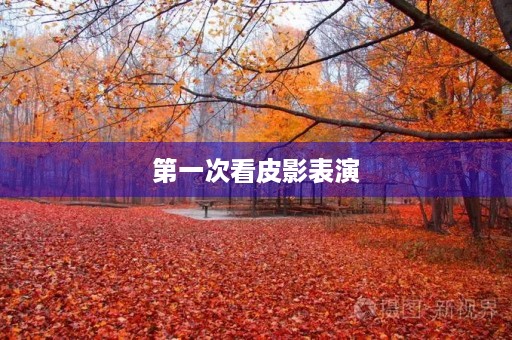 第一次看皮影表演