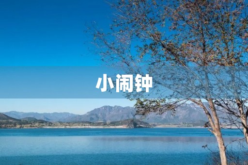 小闹钟 小闹钟