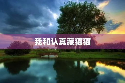 我和认真藏猫猫