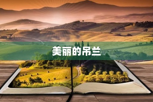 美丽的吊兰 美丽的吊兰