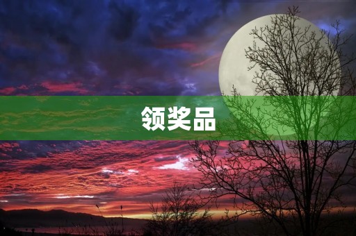 领奖品 领奖品