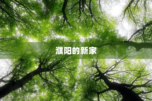 濮阳的新家 濮阳的新家