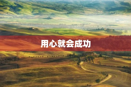 用心就会成功 用心就会成功