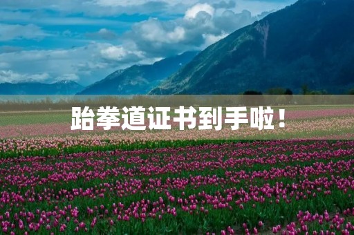 跆拳道证书到手啦! 跆拳道证书到手啦!