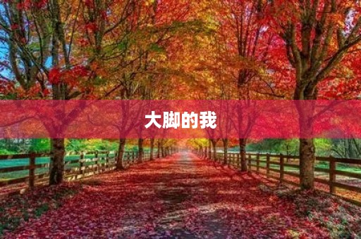 大脚的我 大脚的我
