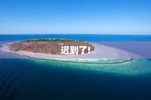 迟到了! 迟到了!