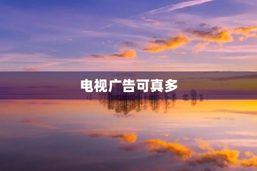 电视广告可真多 电视广告可真多