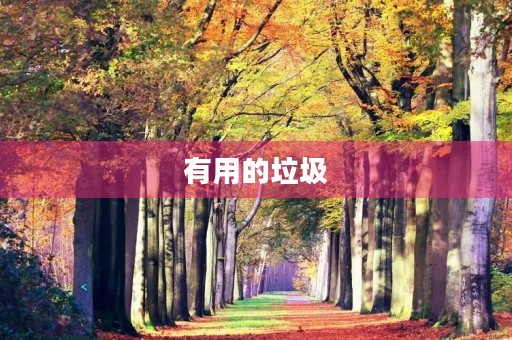 有用的垃圾 有用的垃圾