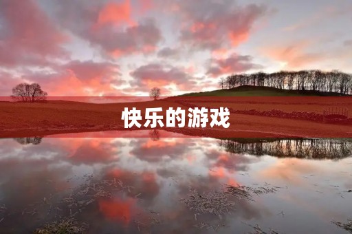 快乐的游戏 快乐的游戏