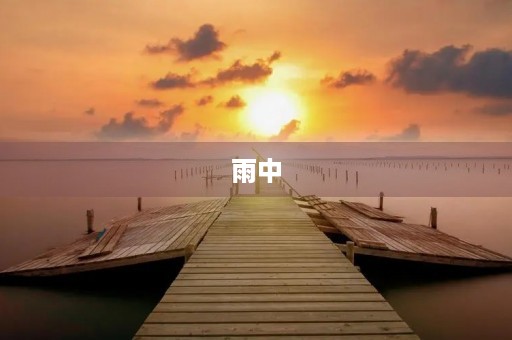 雨中 雨中