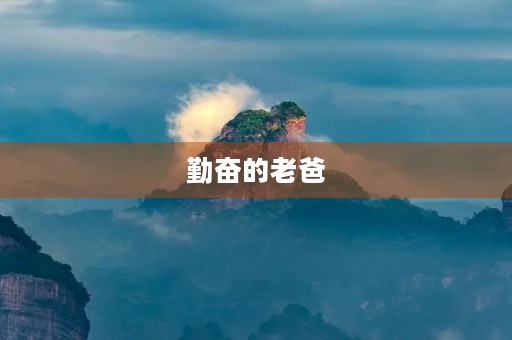 勤奋的老爸