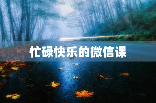忙碌快乐的微信课 忙碌快乐的微信课