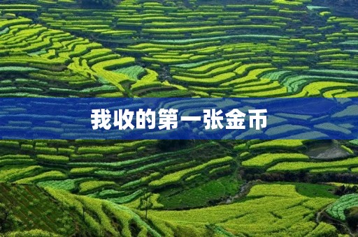 我收的第一张金币 我收的第一张金币