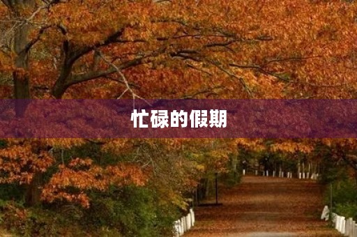 忙碌的假期 忙碌的假期