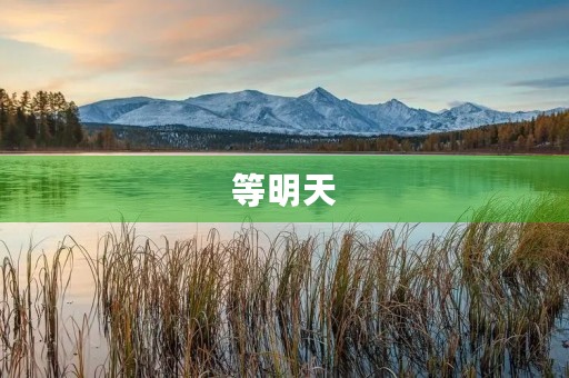 等明天 等明天