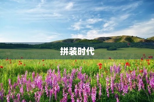 拼装时代 拼装时代