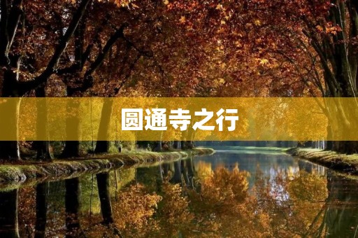 圆通寺之行 圆通寺之行