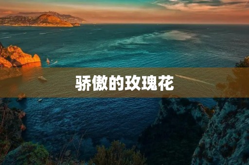 骄傲的玫瑰花 骄傲的玫瑰花