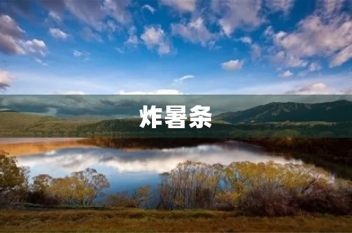 炸暑条 炸暑条