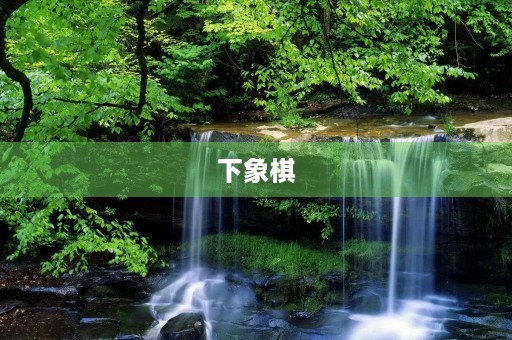 下象棋 下象棋