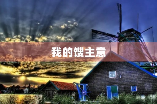 我的馊主意