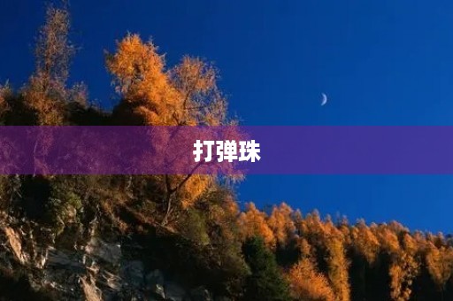 打弹珠 打弹珠