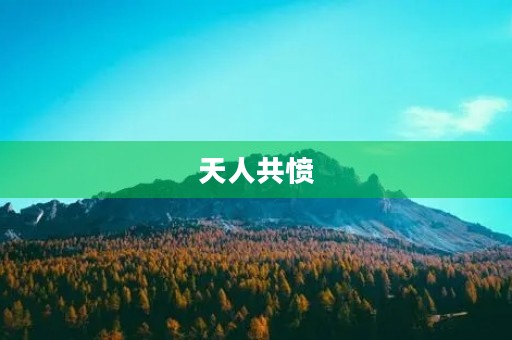 天人共愤 天人共愤
