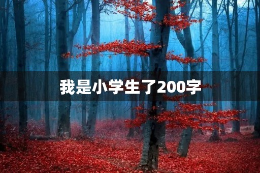 我是小学生了200字