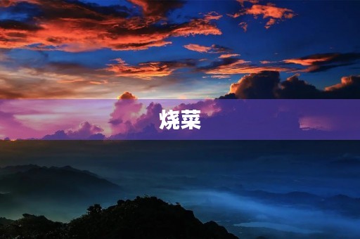 烧菜 烧菜