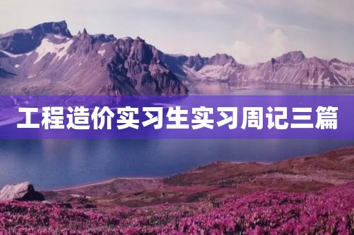 工程造价实习生实习周记三篇 工程造价实习生实习周记三篇