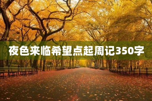 夜色来临希望点起周记350字