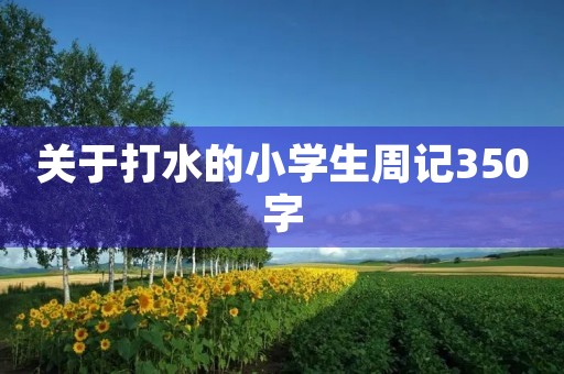 关于打水的小学生周记350字 关于打水的小学生周记350字