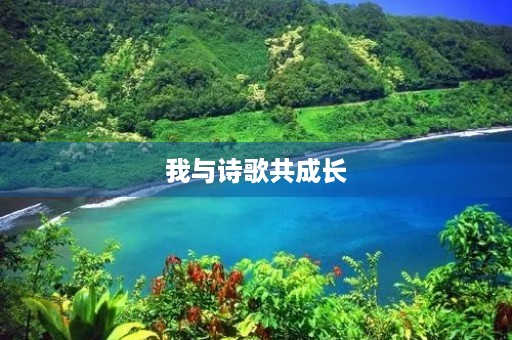 我与诗歌共成长 我与诗歌共成长