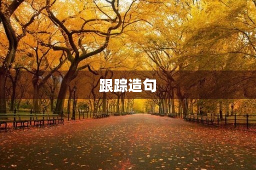 跟踪造句
