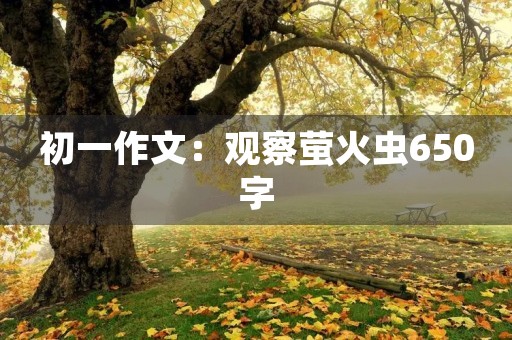 初一作文:观察萤火虫650字 初一作文:观察萤火虫650字