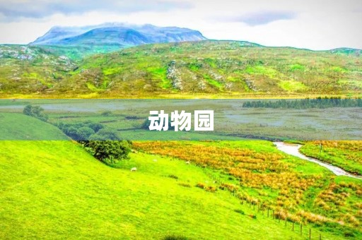 动物园