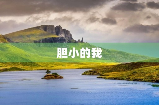 胆小的我 胆小的我