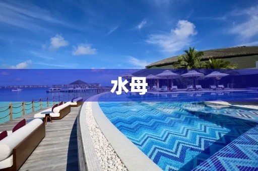 水母