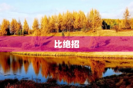 比绝招 比绝招